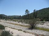 Pinnacles NM 15